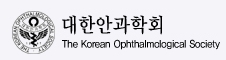 대한안과학회